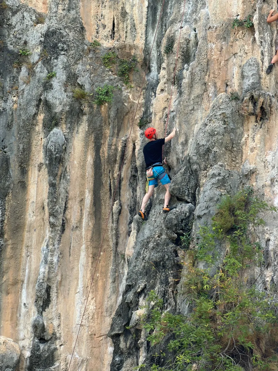A climber on a sea cliff above deep green water