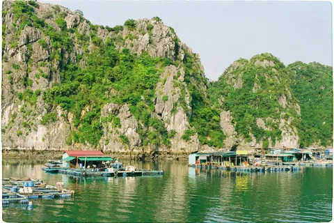 Floating fishing houses under green cliffs in Lan Ha Bay