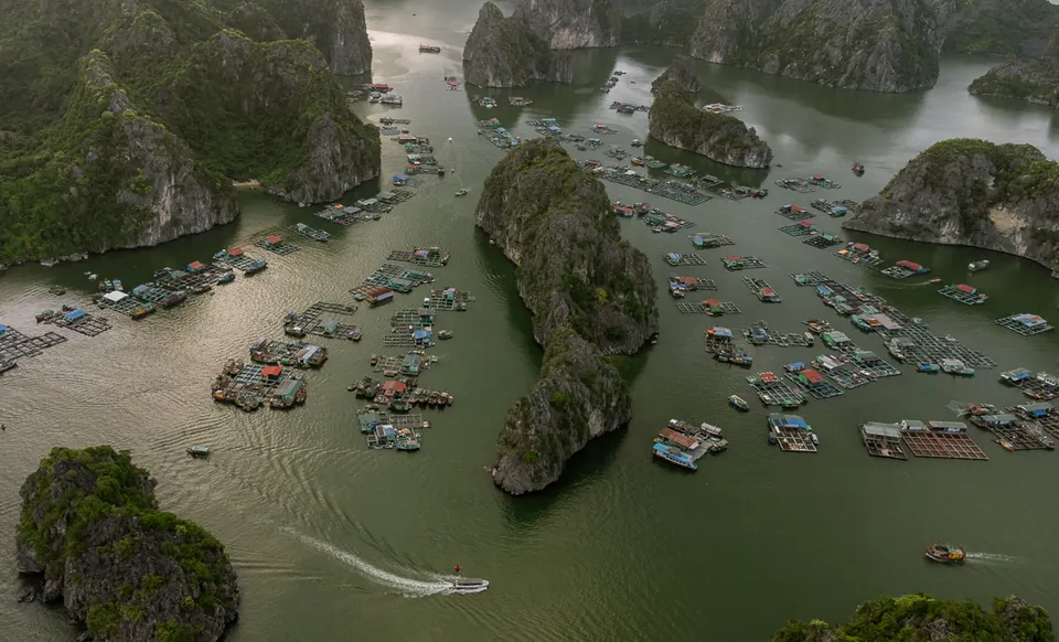Aerial view of floating fish farms around a karst island