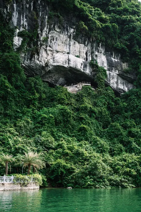 Mossy limestone and forest on a trail in Cat Ba National Park