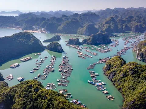 Aerial view of a green lagoon and floating farms between karst islands in Lan Ha Bay