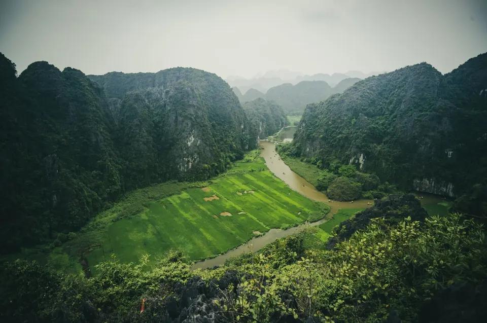 Tam Coc valley in Ninh Binh seen from above, the Ngo Dong river winding between rice fields and forested limestone peaks