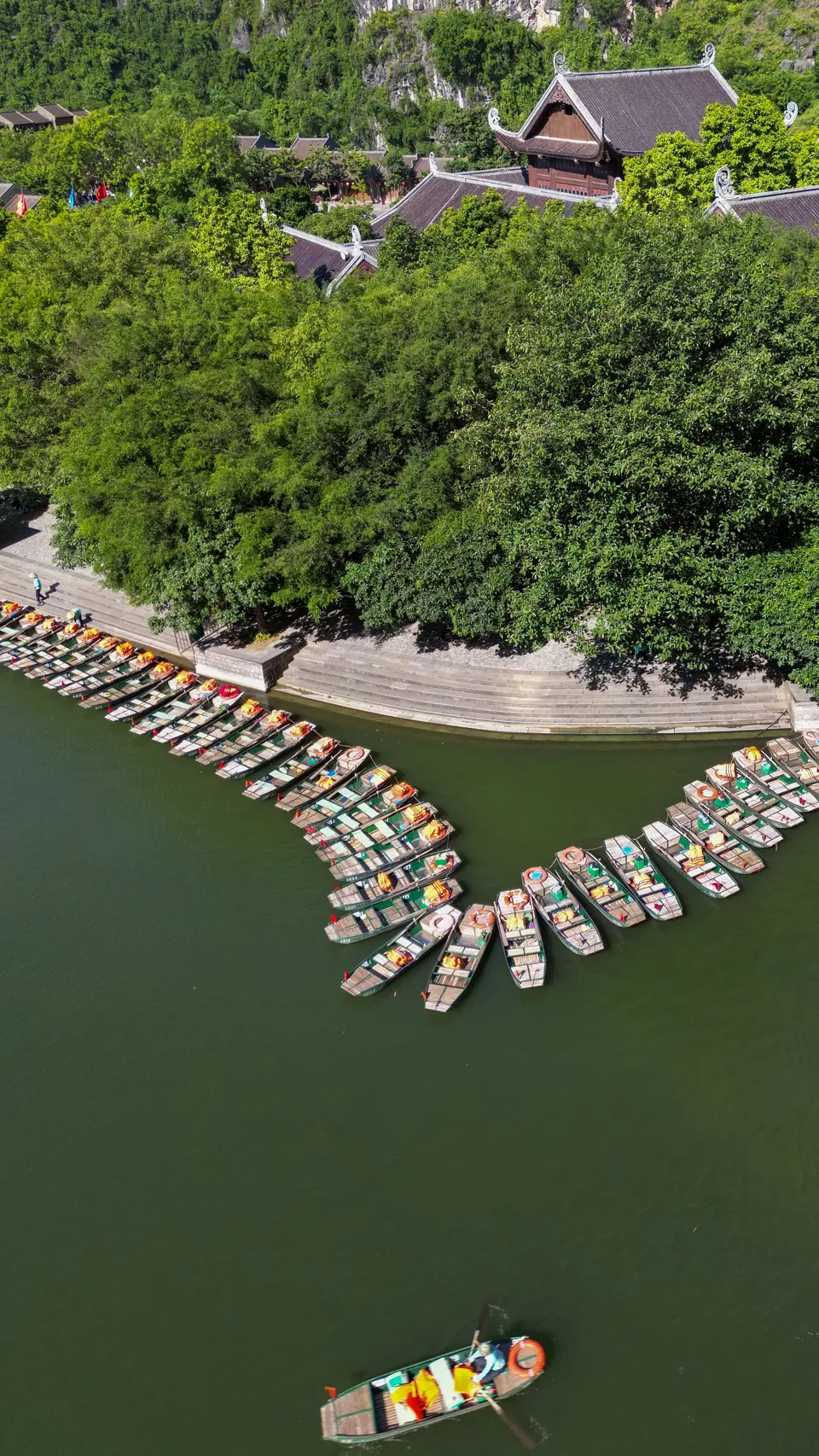 Rowing boats in a line on the river at Ninh Binh