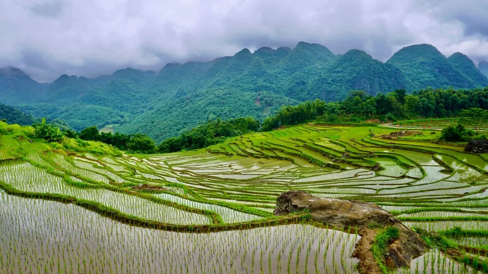 Water-filled terraced rice fields of Pu Luong seen from high above, Vietnam, forested mountains all around