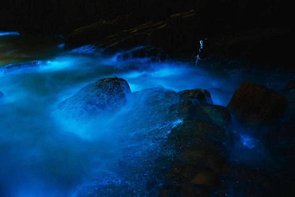 Glowing blue water stirred by a paddle at night