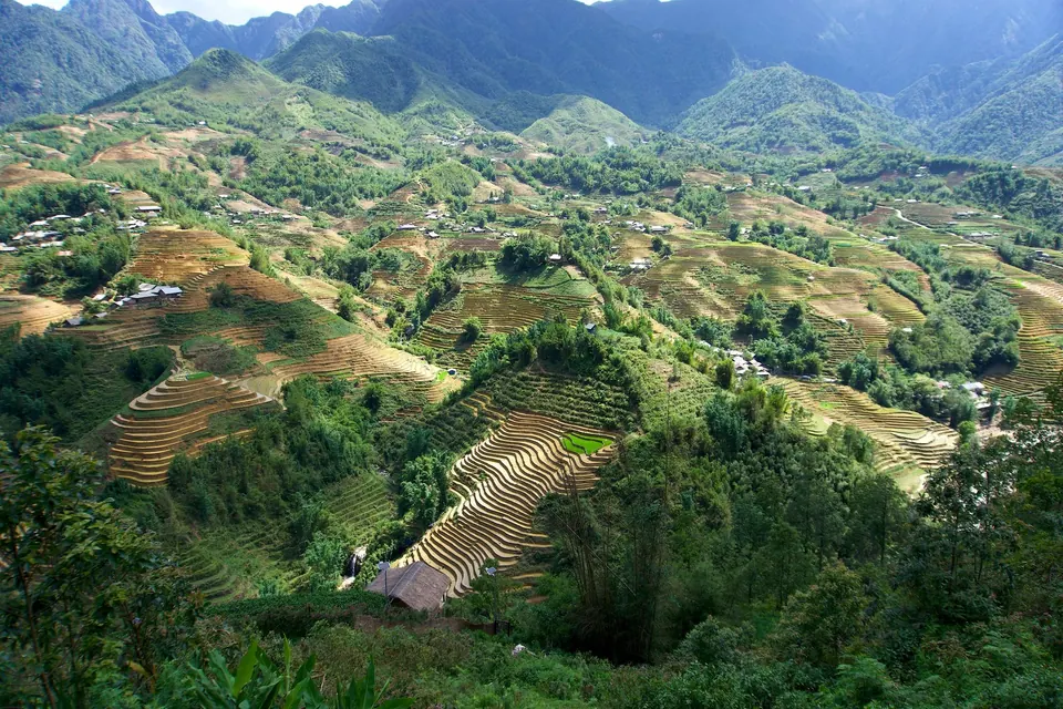 Golden and green rice terraces curving around the hills of the valley below Sapa, with village houses between the fields and cloud on the high ridges
