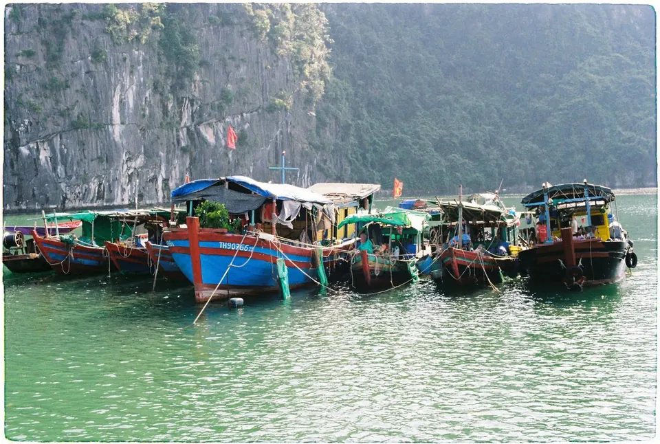 Painted wooden fishing boats moored together under a limestone cliff